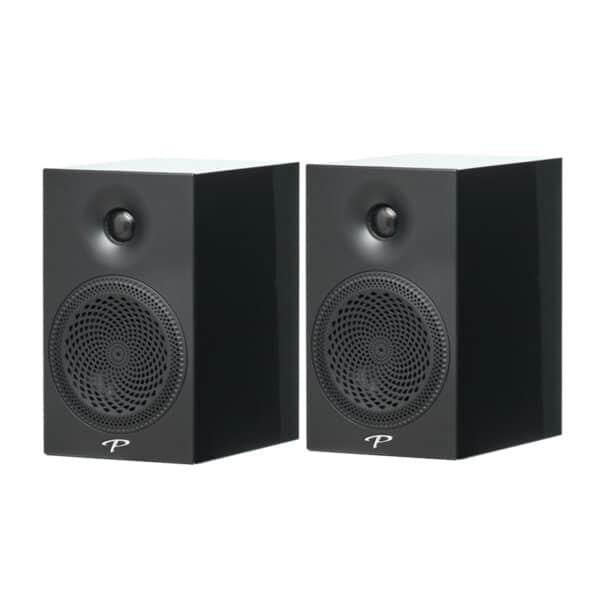Paradigm Premier 100B - Imagen 1